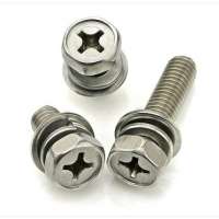 Phillip hex head screw with spring washer