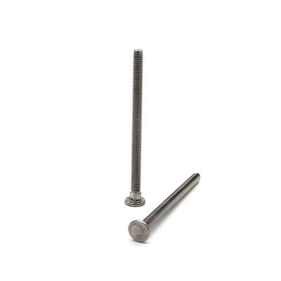 SS Round Head Stainless Steel Carriage Bolts Coach Fastener Square Neck Round Head Nut Bolt